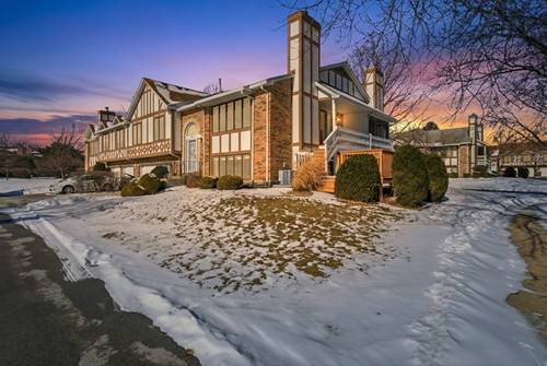 17550 Drummond Unit 0, Tinley Park, IL 60487