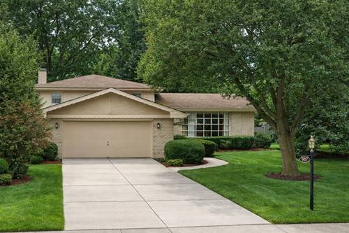 917 W Army Trail, Addison, IL 60101