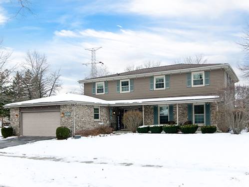 820 N Sanborn, Palatine, IL 60074