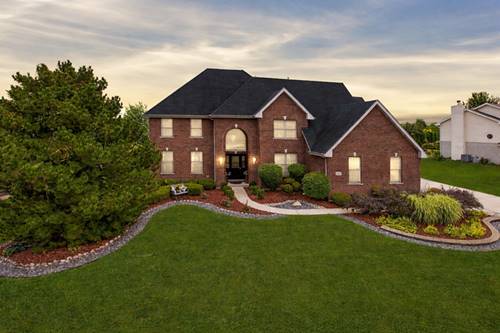 21295 Longview, Frankfort, IL 60423