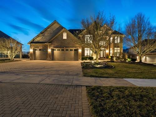 21170 Sage Brush, Mokena, IL 60448