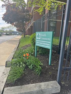 3041 S Michigan Unit 106, Chicago, IL 60616