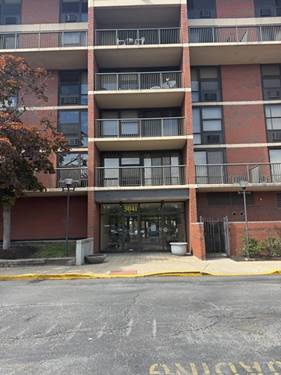 3041 S Michigan Unit 106, Chicago, IL 60616