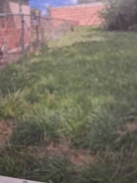 9209 S Harper, Chicago, IL 60619