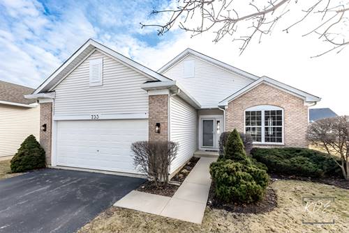 733 S Mecosta, Romeoville, IL 60446