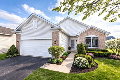 733 S Mecosta, Romeoville, IL 60446