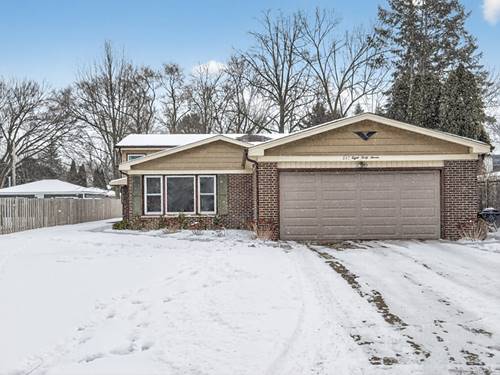 847 Division, Northbrook, IL 60062