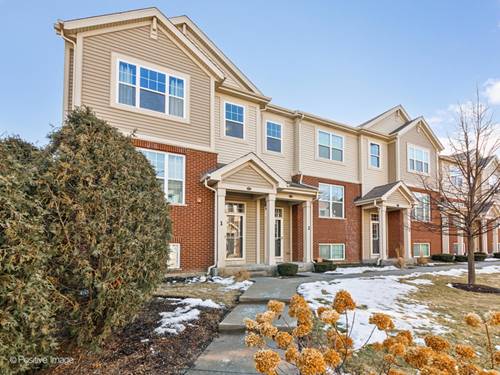 108 S Dee Unit 1, Park Ridge, IL 60068