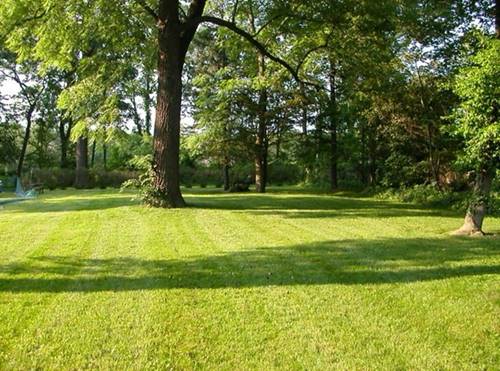 355 E Blodgett, Lake Bluff, IL 60044