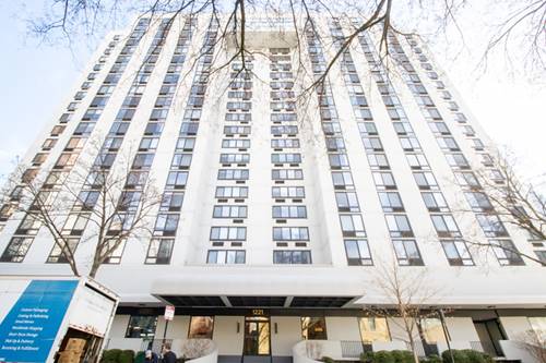 1221 N Dearborn Unit 1406S, Chicago, IL 60610