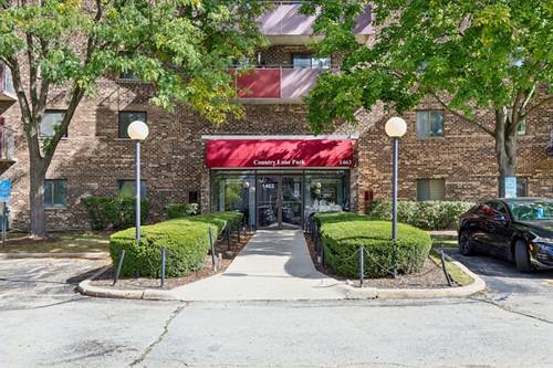 1463 Mercury Unit 309, Schaumburg, IL 60193
