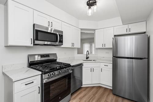 4252 Central Unit 102, Glenview, IL 60025