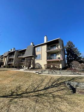 9169 Del Prado Unit 2E, Palos Hills, IL 60465
