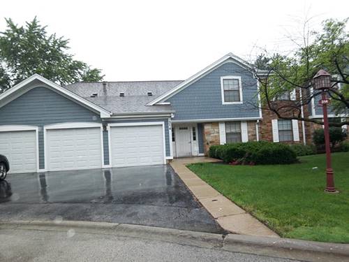 314 Wildberry Unit A2, Schaumburg, IL 60193