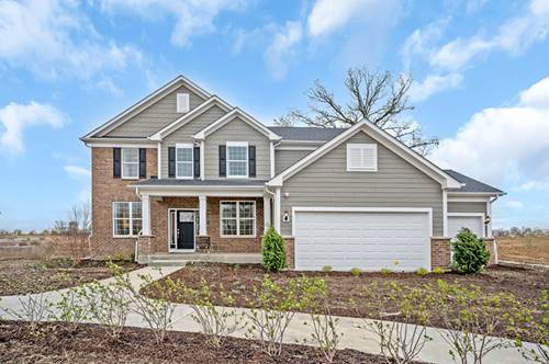 2951 Amaranth, New Lenox, IL 60451