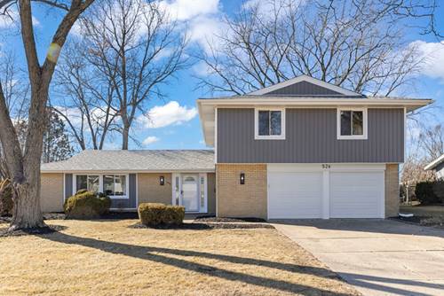 526 S Springinsguth, Schaumburg, IL 60193