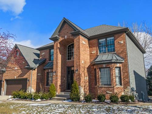 13203 Skyline, Plainfield, IL 60585