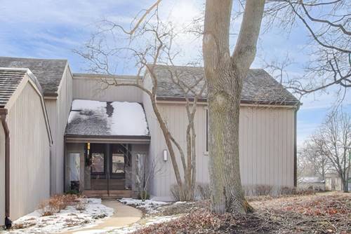 83 Thornhill Unit B, Lake Barrington, IL 60010