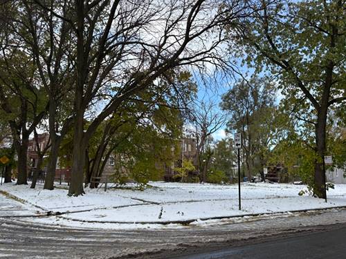 7300 S Dante, Chicago, IL 60619