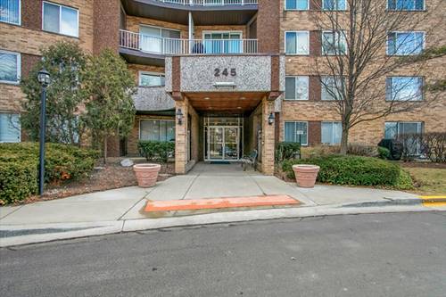 245 S Park Unit 321, Palatine, IL 60074