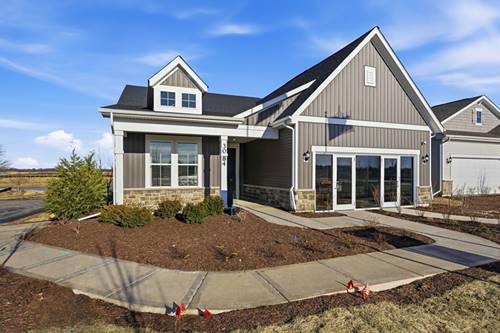 3122 Goldberry, New Lenox, IL 60451