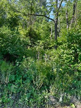 21177 N Valley, Kildeer, IL 60047