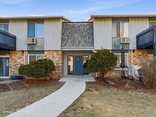 920 E Old Willow Unit 203, Prospect Heights, IL 60070