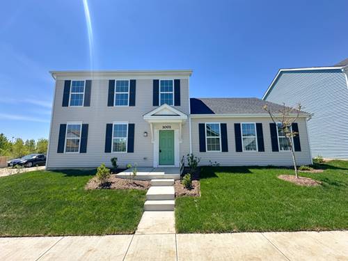 1001 Celebration, Aurora, IL 60504
