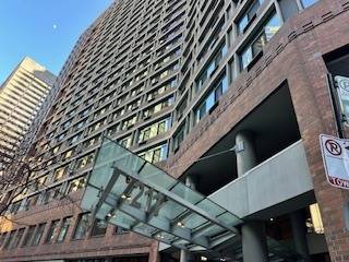 211 E Ohio Unit 1911, Chicago, IL 60611
