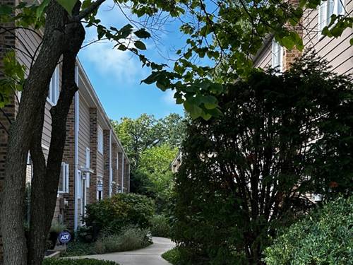 315 Hawthorn Unit E, Glencoe, IL 60022