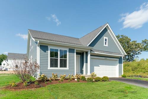 22106 W Casa Bella, Kildeer, IL 60047