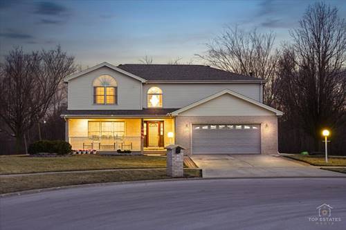 24495 Patriot, Crete, IL 60417