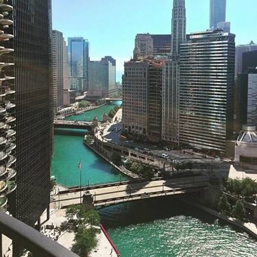 300 N State Unit 2910, Chicago, IL 60654