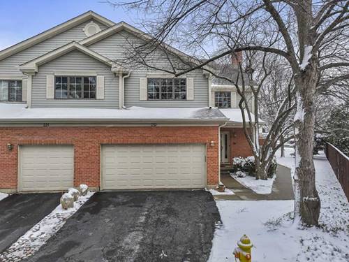 219 Village Unit 219, Mount Prospect, IL 60056