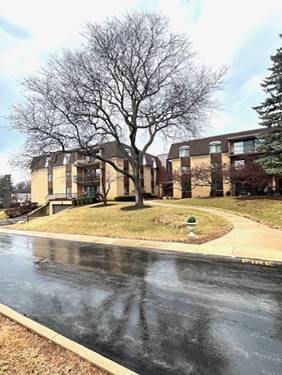 1105 N Mill Unit 224, Naperville, IL 60563