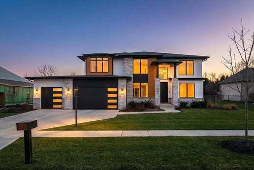 26009 W Forrester, Plainfield, IL 60585