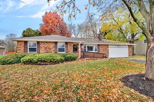 223 Pleasure, Yorkville, IL 60560