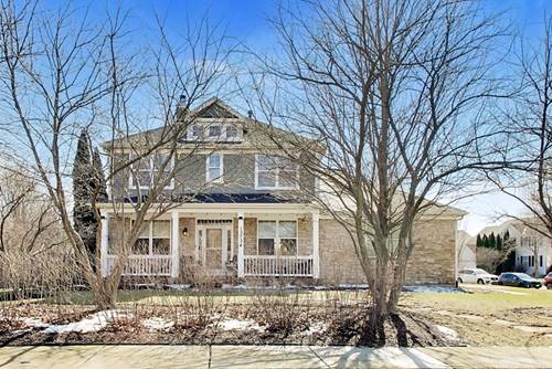 13734 Meadow, Plainfield, IL 60544