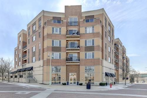 300 Village Unit 503, Willow Springs, IL 60480