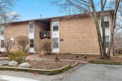 5525 E Lake Unit A, Lisle, IL 60532