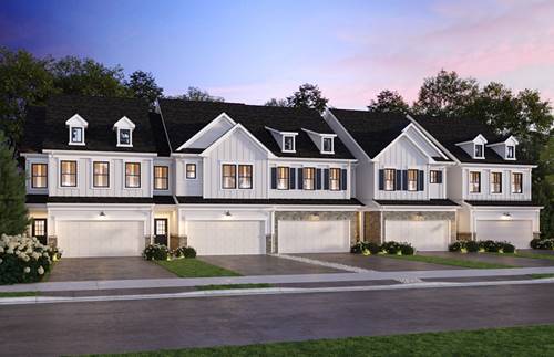 1987 Leiter Unit 11003, Hoffman Estates, IL 60169