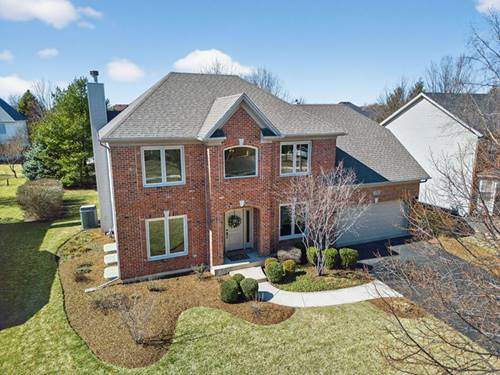 12542 Larkspur, Plainfield, IL 60585