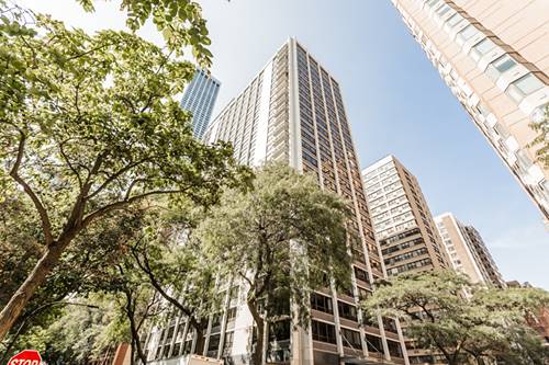 222 E Pearson Unit 1806, Chicago, IL 60611