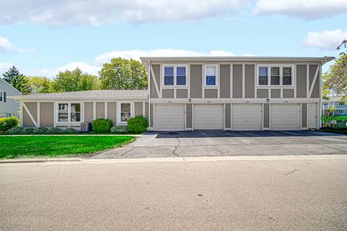 1020 Brunswick Unit 5001, Schaumburg, IL 60193
