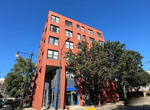1601 S Halsted Unit 202, Chicago, IL 60608