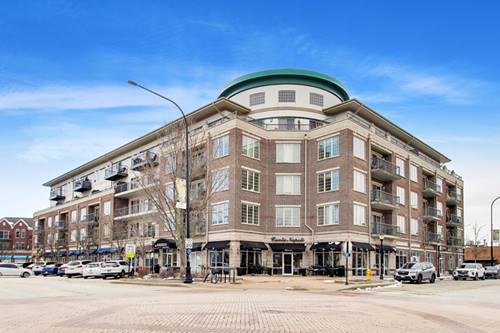 100 S Emerson Unit 507, Mount Prospect, IL 60056