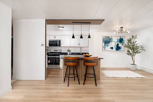 1001 N Mill Unit 203, Naperville, IL 60563