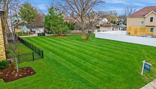 916 Cleveland, Park Ridge, IL 60068