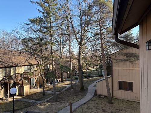 11 St Thomas Colony Unit 7, Fox Lake, IL 60020