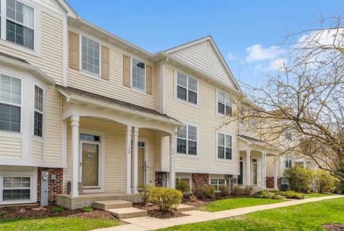 117 Terra Meadow Unit 0, Volo, IL 60020